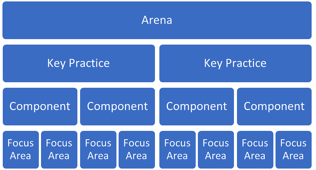 Structure of the Five Arenas Leadership Framework showing how it cascades from Arena, to Key Practice, to Components, to focus Areas