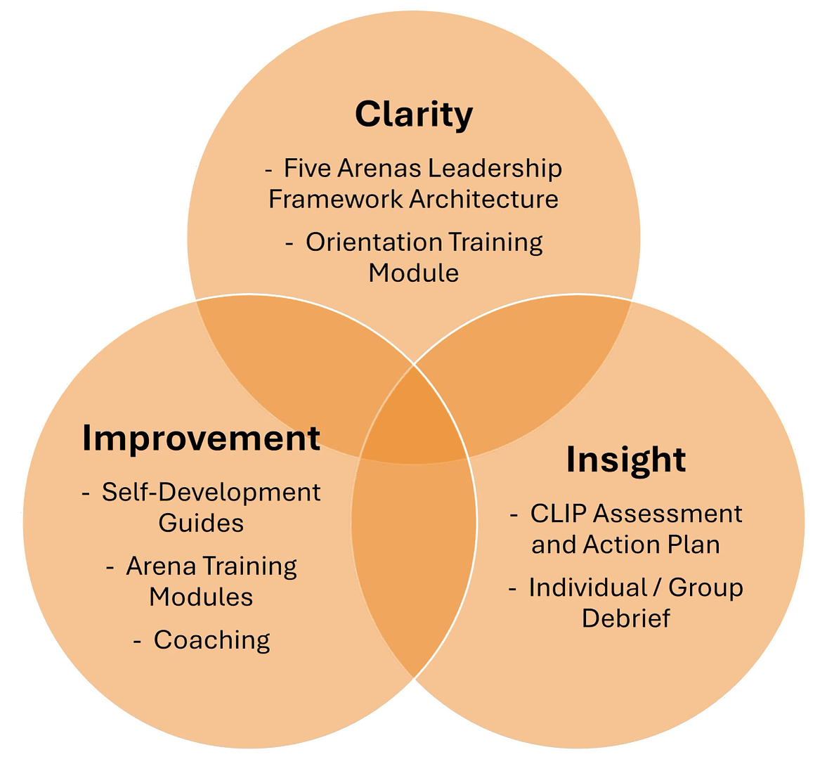 Leadership development through clarity, insight, and improvement