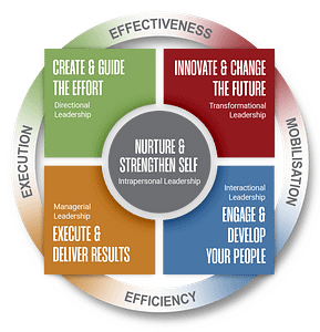 Image showing the Five Key Arenas of leadership that contribute to high-impact leadership within organisations