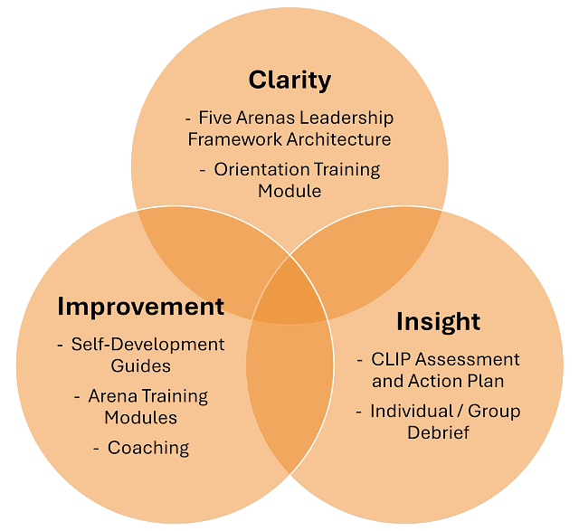 Leadership development through clarity, insight, and improvement